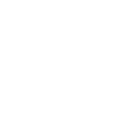 AMADEUS Visual